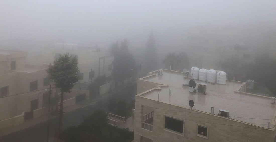 Shipping dates for January