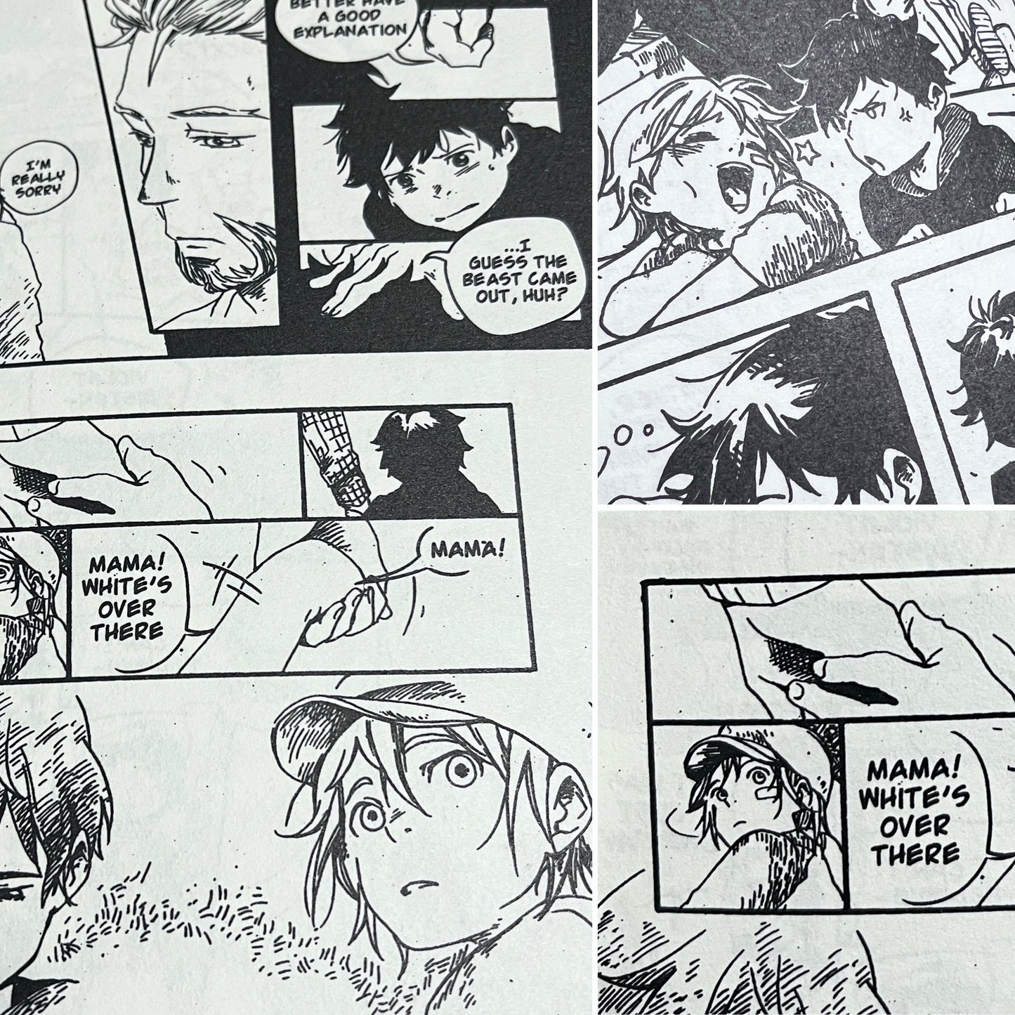 [Book] <b> Mild Defect</b> Grey is... Vol5