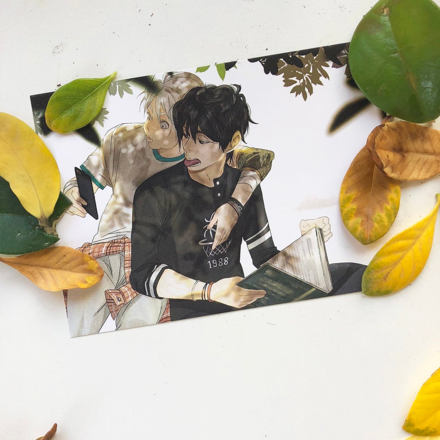 Discontinued: [Postcard] Autumn Memories [4 Card Set]